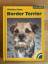 Wiebke Steen: Border Terrier