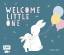 Welcome little one * Babyalbum * EMF Ver