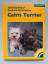 gebrauchtes Buch – Peper, Wilfried / Bottenberg – Cairn Terrier – Bild 2