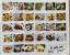 gebrauchtes Buch – Lecker: 3, 2, 1… Essen ist fertig! – Bild 3