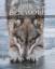 gebrauchtes Buch – Shaun Ellis – Der Wolf - Wild und faszinierend – Bild 2