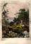 Thomas Kelly, London: Adam und Tiere im Thomas Kelly, London: Adam und Tiere im