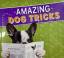 Donald Vaughan: Amazing Dog Tricks