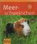 Immanuel Birmelin: Meerschweinchen