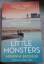 Adrienne Brodeur: Little Monsters