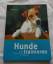 Gwen Bailey: Hunde trainieren - Spiele, 