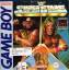 WWF Superstars (Nintendo Game Boy Spiel)