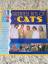 The Cats: Greatest Hits Vol.1+2