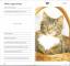 gebrauchtes Buch – Sands, Amanda J – Katzen – Bild 3