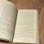 gebrauchtes Buch – Anne Laureen – Sterne über Tauranga – Bild 6