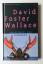 Wallace, David Foster: Am Beispiel des H