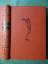 antiquarisches Buch – Friedrich Schulze-Maizier – Die Osterinsel – Bild 2