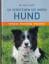 David Sands: So verstehen Sie Ihren Hund