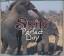 Skin: Perfect Day (4-Track-CD)