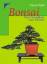 Horst Stahl: Bonsai