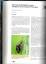 gebrauchtes Buch – Fritzlar, Korsch, Förster – Rote Listen Thüringens – Bild 2
