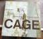 Robert Storr: Die Cage-Bilder