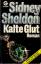 Sidney Sheldon: Kalte Glut