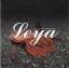 Leya: On All My Sundays