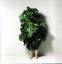 Makoto Azuma: Botanical Sculpture., NRW-