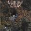 Dorian Gray: Dorian Gray - Man In The Da