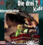 Die drei ??? kids 12 Internetpiraten