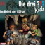 Die drei ??? kids 13 Im reich der Rätsel