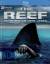 Andrew Traucki: The Reef - Schwimm um de