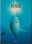 Andrew Cleave: Haie