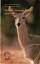Transvaal Nature Conservation Division: Transvaal Nature Conservation Division: