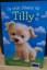 Linda Chapman: Tilly