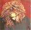 Janet Jackson: The Velvet Rope