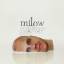 Milow: Milow - New Version