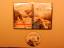 DVD * Monster Village - Das Dorf der Ver