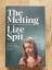 gebrauchtes Buch – Lize Spit – The Melting – Bild 1