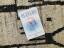 Joe Dispenza: Du bist das Placebo – Bewu