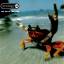 Prodigy: Prodigy - The Fat Of The Land /