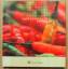 Claudia Bruckmann: Mexikanisch kochen – Claudia Bruckmann: Mexikanisch kochen –
