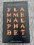 Ben Marcus: Flammenalphabet
