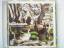 The Bluetones: Science & Nature