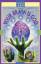 Timothy Leary: Your Brain Is God