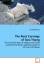 Lars R. Aas: The Rock Carvings of Taru T