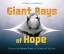 Patricia Newman: Giant Rays of Hope