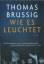 Thomas Brussig: Wie es leuchtet : Roman.
