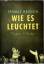 Thomas Brussig: Wie es leuchtet. Roman.