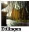 Lorch, Wolfganr (Text): Ettlingen. Gesic