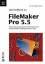 gebrauchtes Buch – Christopher Busch – Das Profibuch zu FileMaker Pro 5.5 – Bild 1