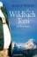 Moses Wolff: Der Wildbach Toni: Ein Berg