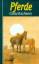 Pferdegeschichten. hrsg. von Jutta Radel