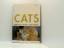 David Sands: Cats: 500 Questions Answere